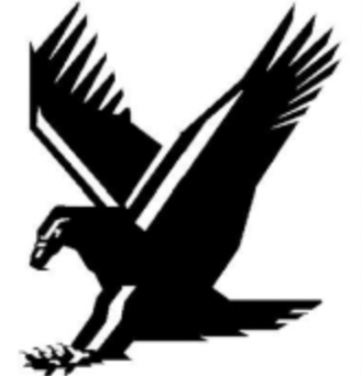 Eaglescliffe Medical Practice Logo